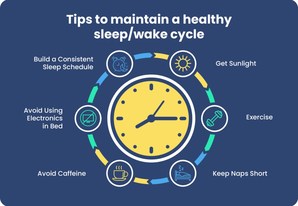 circadian rhythm