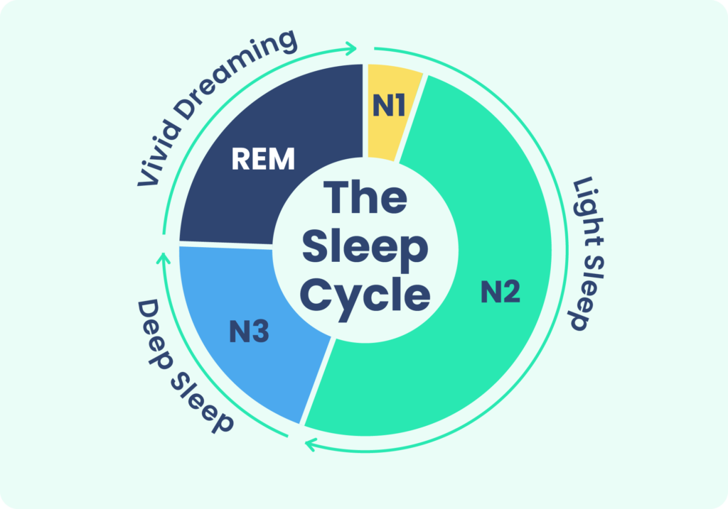 Understanding Sleep Stages: Unlocking the Secrets of Better Rest